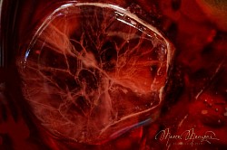 Cuore di Ghiaccio ©2025