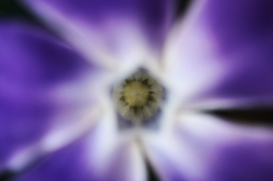 Un Segreto Svelato ©2024