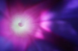 Whishing in a Star ©2023
