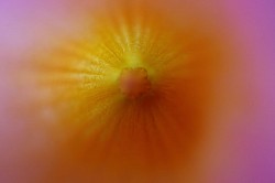 Seno di Madre Natura ©2023