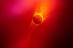 Eclisse nelle Profondità ©2023