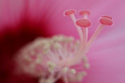 Snail of Pink Moon ©2023